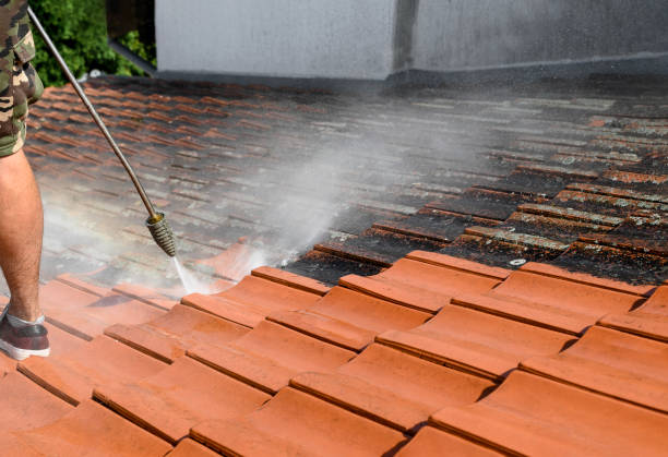 Best Fence Pressure Washing  in Orleans, IN