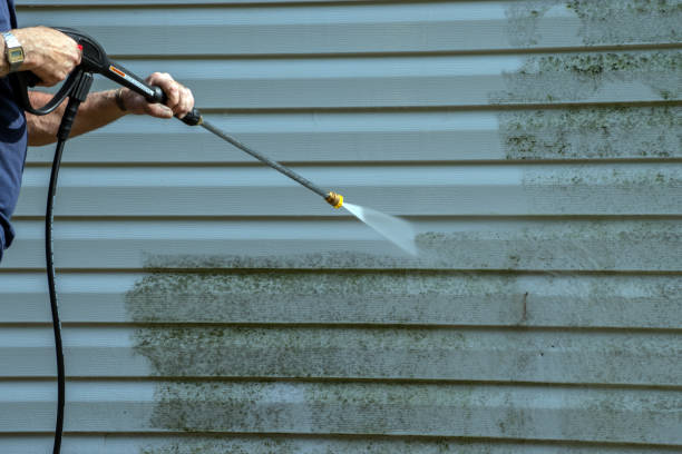 Best Concrete Pressure Washing  in Orleans, IN