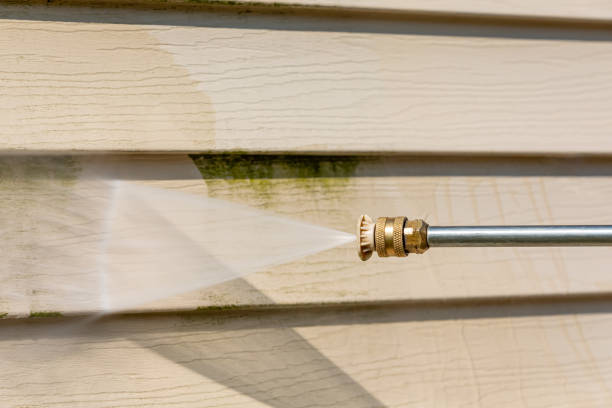 Best Pressure Washing Contractors  in Orleans, IN