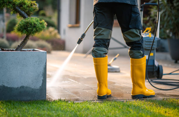 Best Pressure Washing Siding  in Orleans, IN